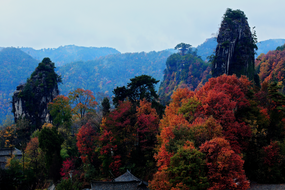 高考作文 | 全域旅游百花开 多彩广元迎客来