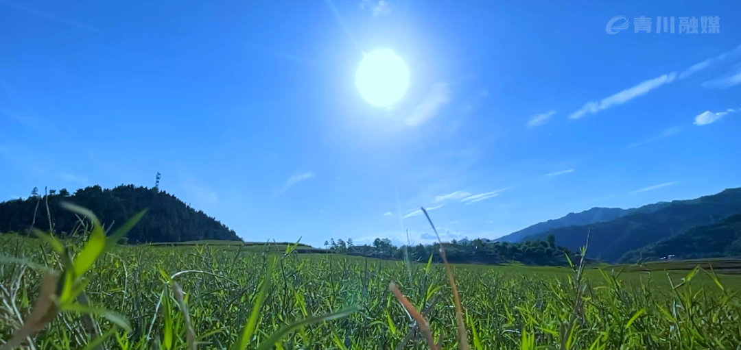 创建天府旅游名县青川进行时丨不去白龙湖幸福岛的夏天是不完整的