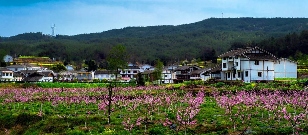 安逸四川 花开广元 | 春暖花开，广元邀您共赴一场春天的旅行盛宴