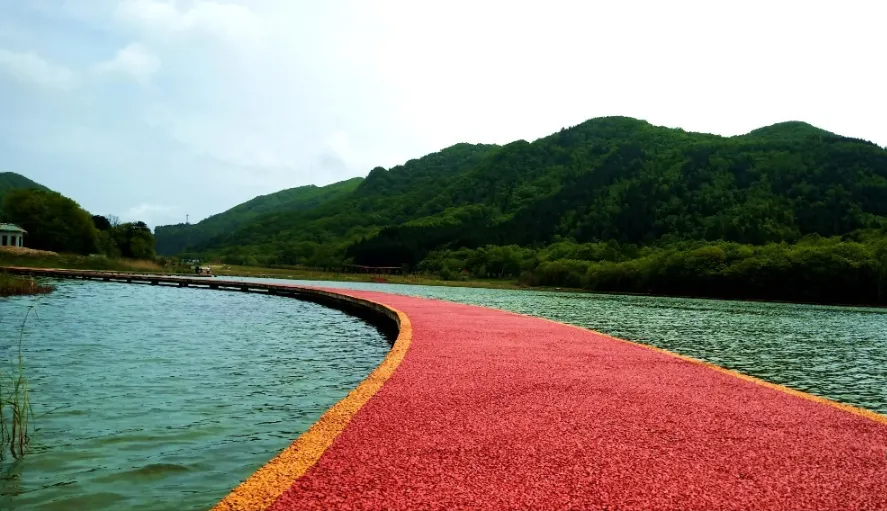 广元市利州区白朝乡月坝村，一个离月亮很近的地方