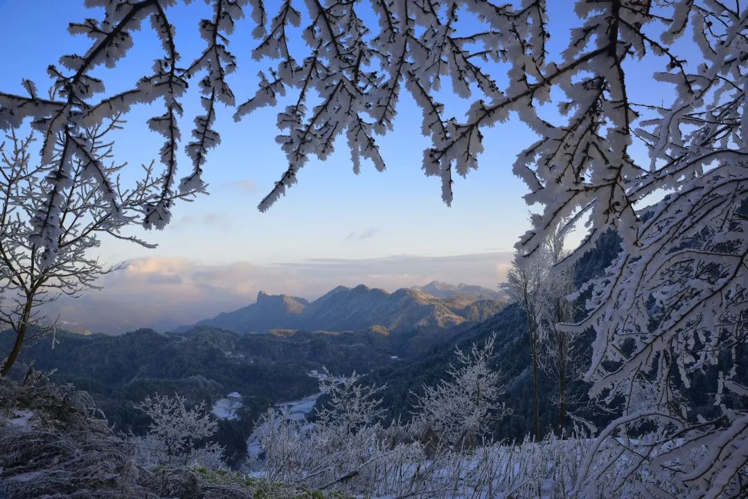 高考作文 | 全域旅游百花开 多彩广元迎客来