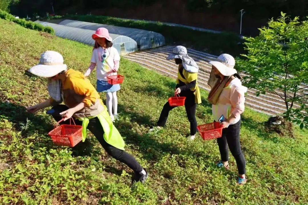 “粽”情端午 别样精彩 | 广元市2022年端午节假期文旅市场情况综述