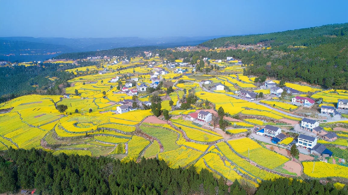 广元昭化：油菜花开春意浓 美丽乡村入画来