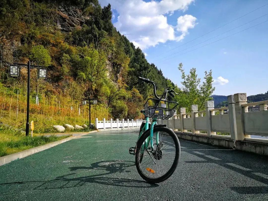 创建天府旅游名县青川进行时丨说走就走，送您青川夏日的盛景