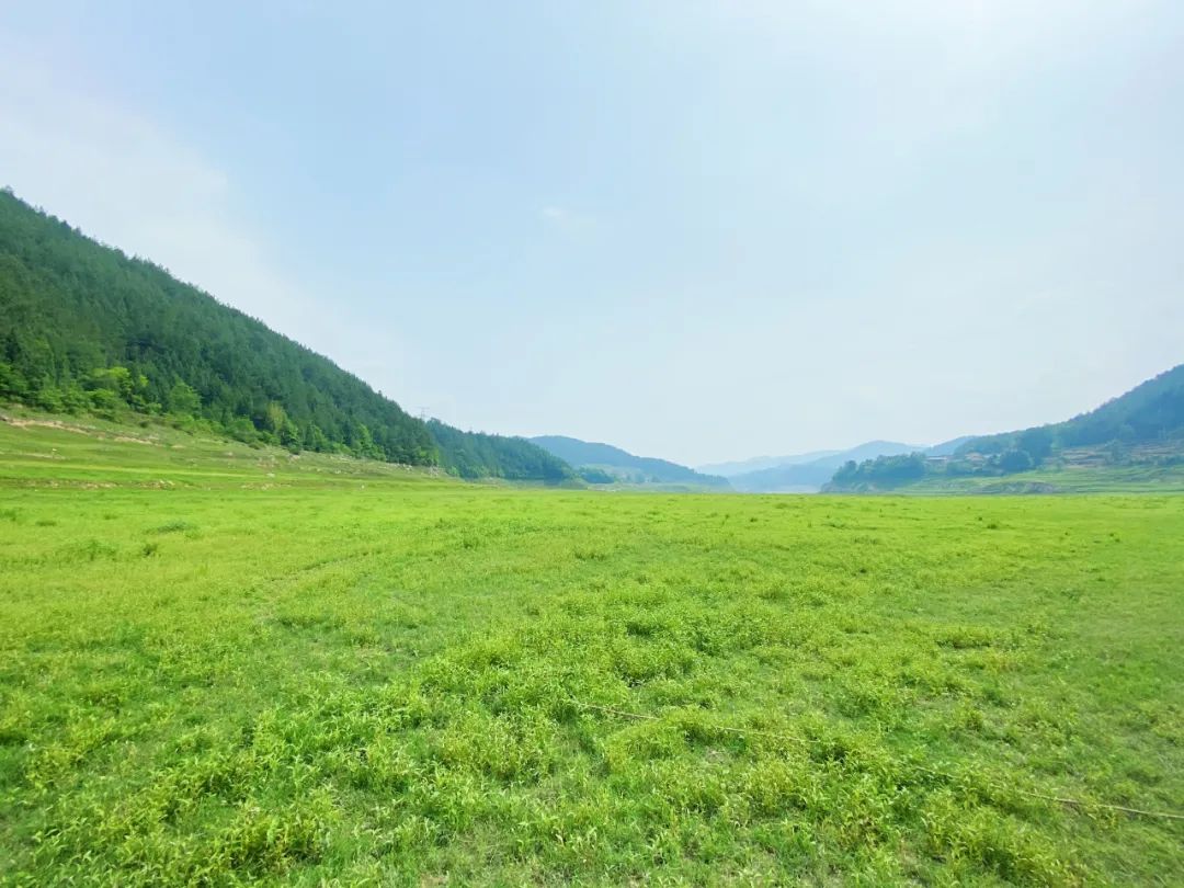 夏天一到，这个小岛就美成了画！还有湖畔露营、无边草原……