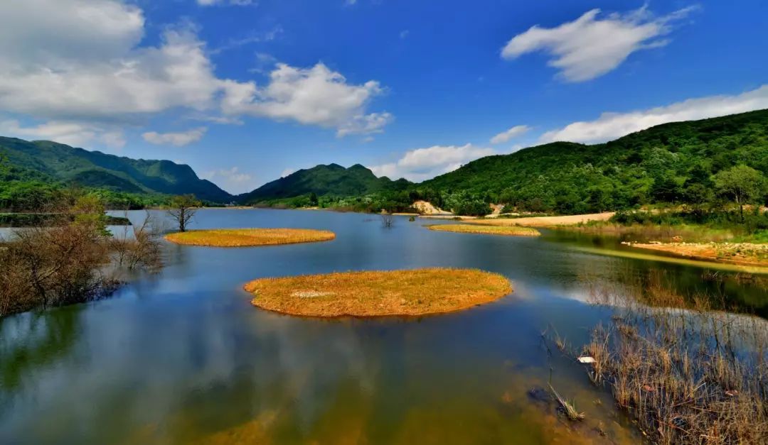 高考作文 | 全域旅游百花开 多彩广元迎客来