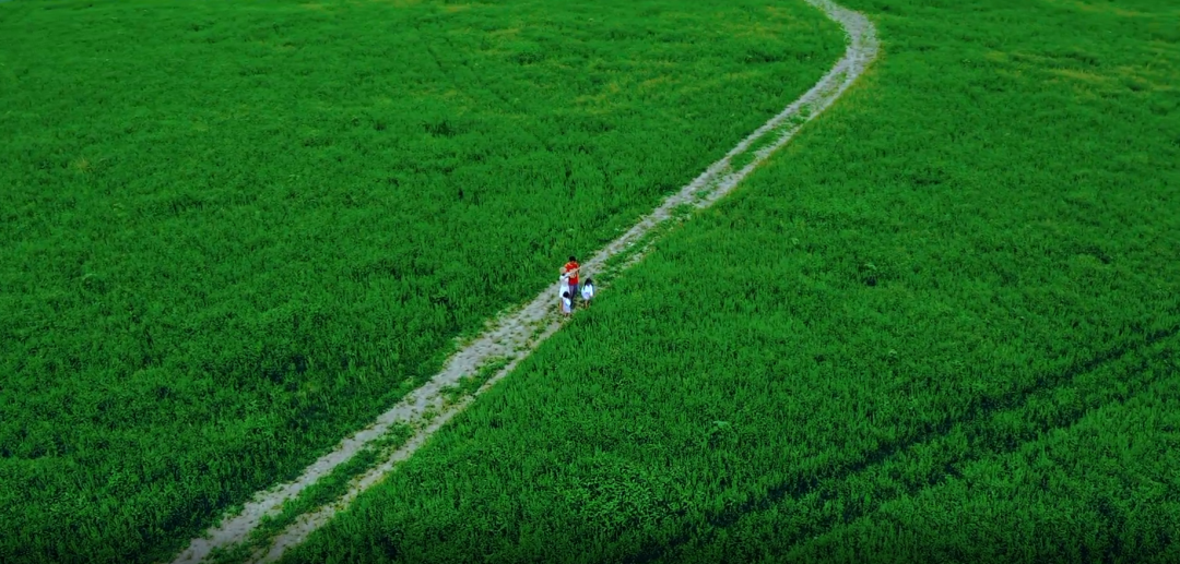 夏天一到，这个小岛就美成了画！还有湖畔露营、无边草原……