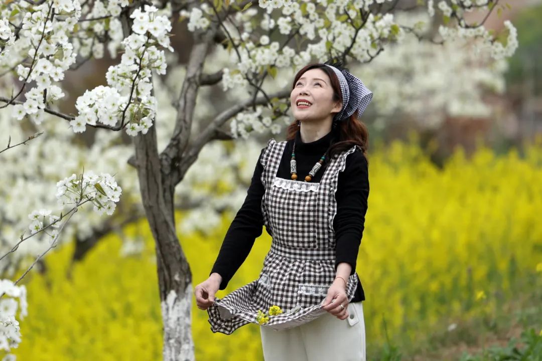 安逸四川 花开广元丨利州陌上花开春正美，跟着赏花地图“趣”打卡