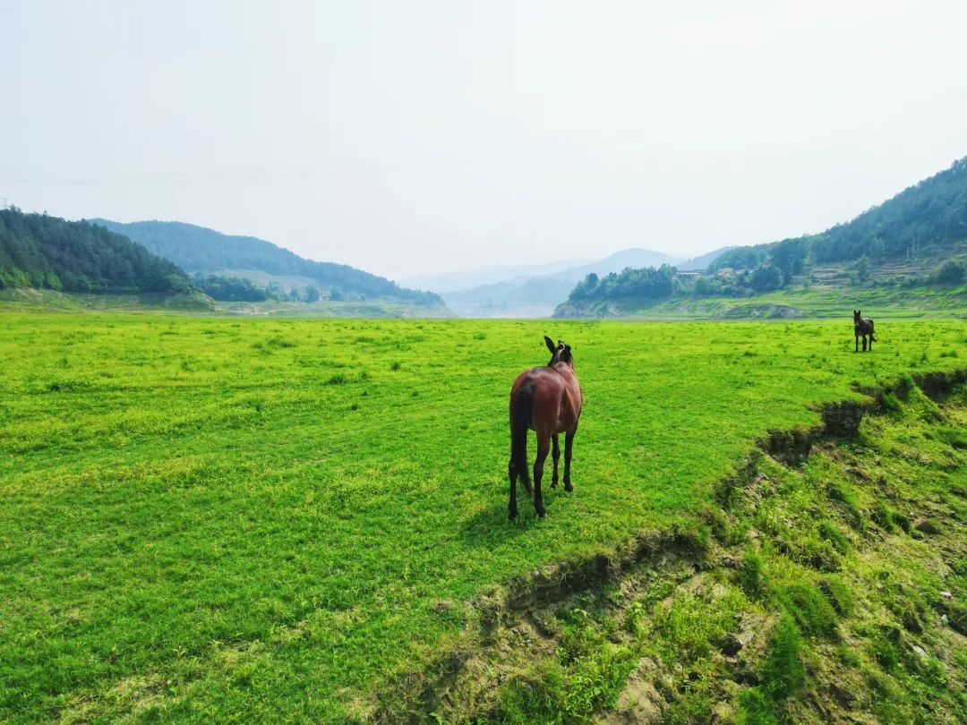 夏天一到，这个小岛就美成了画！还有湖畔露营、无边草原……