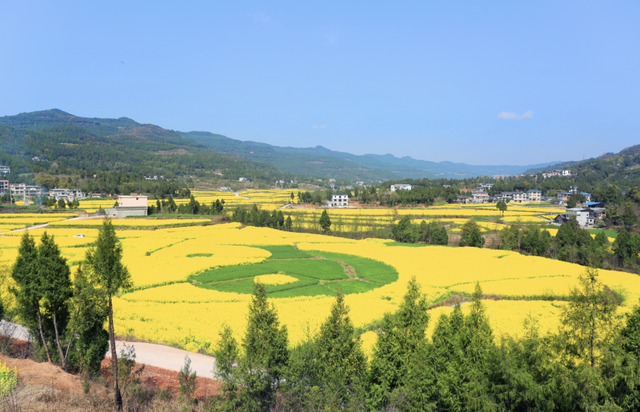 四川省民生研究会新媒体中心-官网