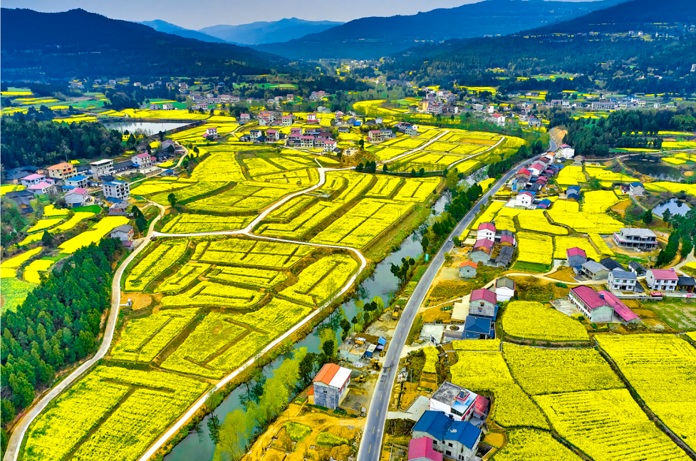 高考作文 | 全域旅游百花开 多彩广元迎客来