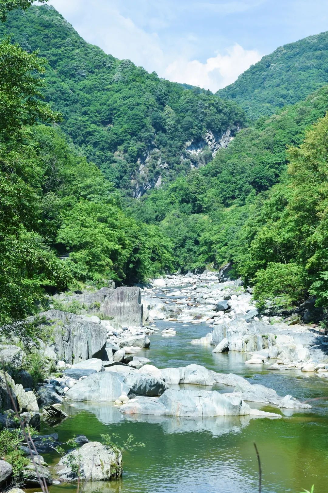 安逸四川 清凉广元 | 看！这是属于广元的夏天