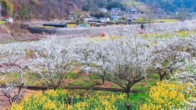 四川省民生研究会新媒体中心-官网