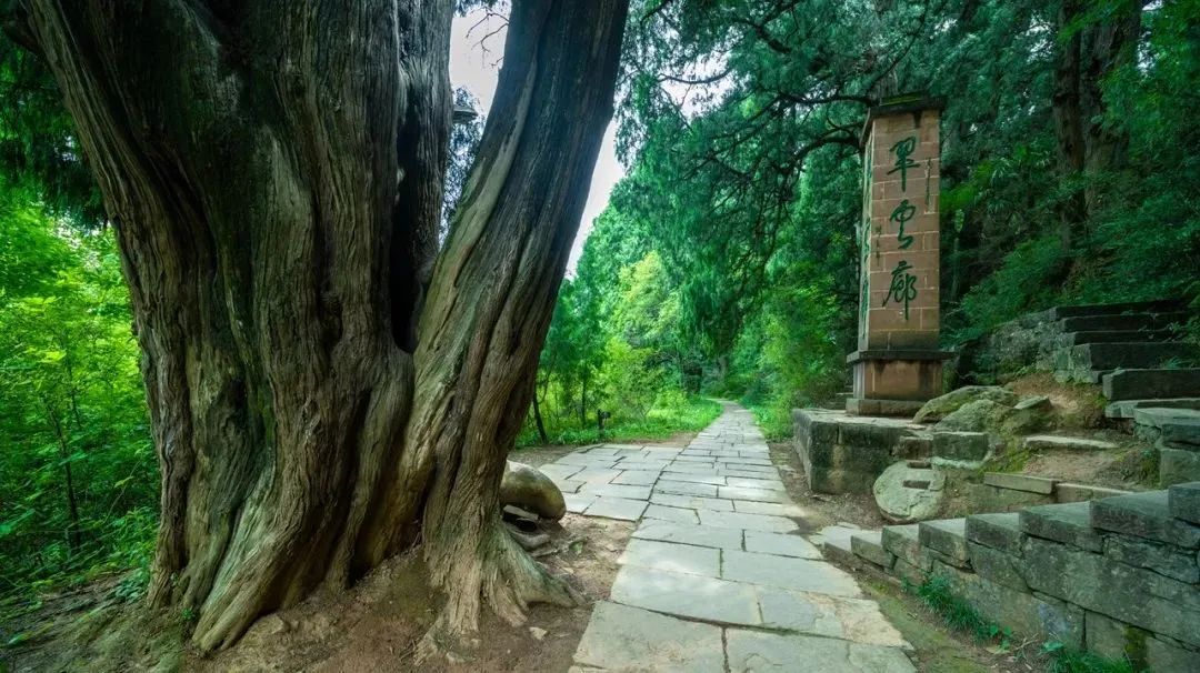 安逸四川 清凉广元 | 高温退！快来，广元有一个AAAAA级避暑胜地