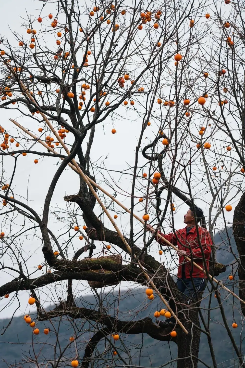 大蜀道文化旅游节系列宣传之十四：旅游达人邀您来打卡广元昭化