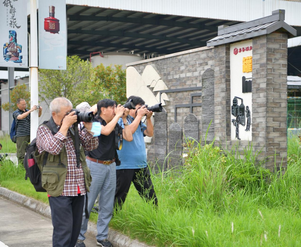 定格丰谷 美美与共 绵阳市摄影家协会走进丰谷酒业开展主题采风创作