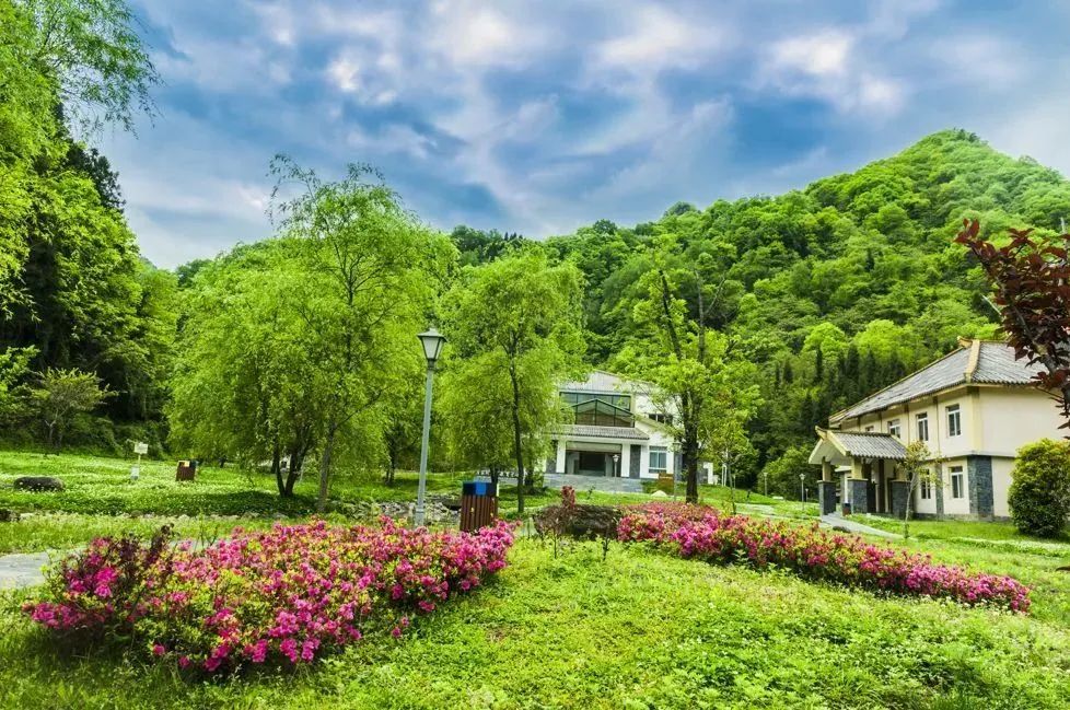 创建天府旅游名县青川进行时丨说走就走，送您青川夏日的盛景