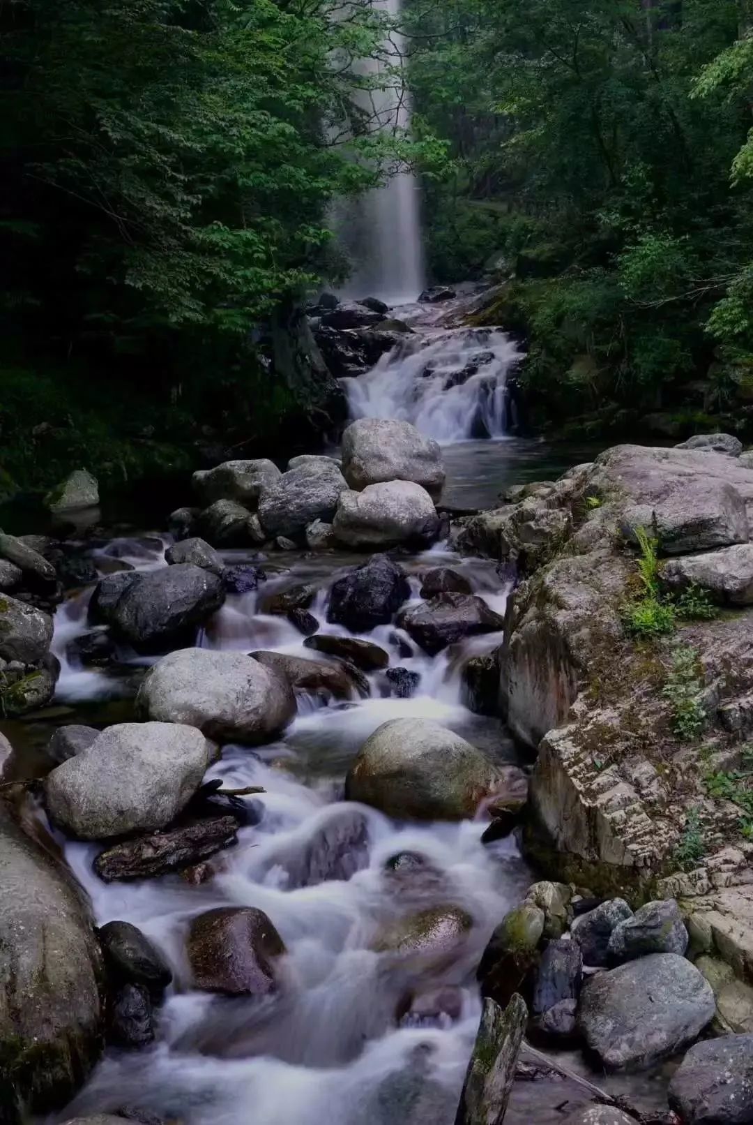 创建天府旅游名县青川进行时丨说走就走，送您青川夏日的盛景