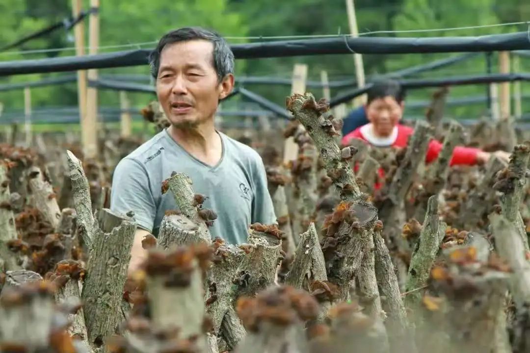 青川入选全国县域旅游发展潜力百佳县