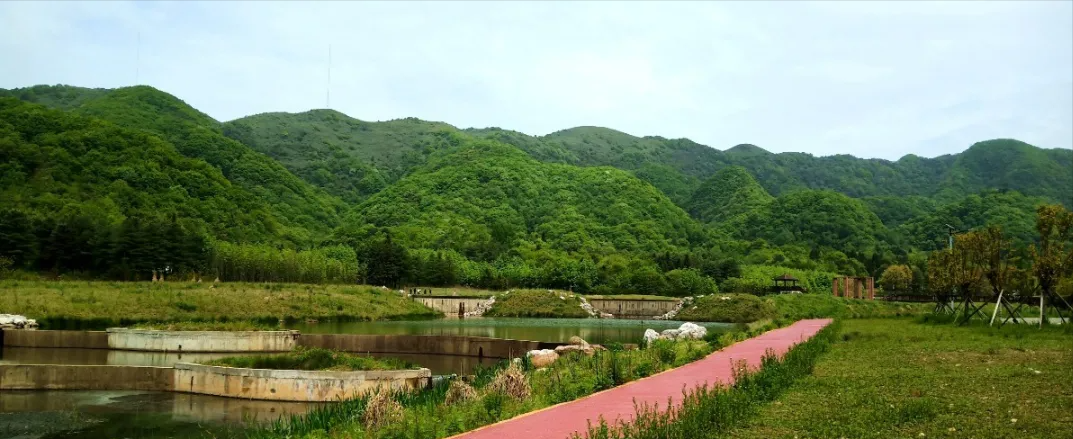 广元市利州区白朝乡月坝村，一个离月亮很近的地方