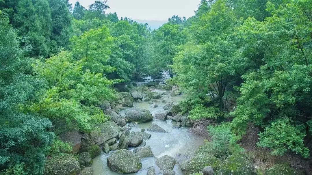 安逸四川 清凉广元 | 高温退！快来，广元有一个AAAAA级避暑胜地