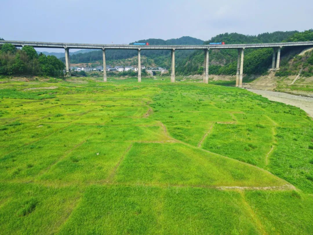 夏天一到，这个小岛就美成了画！还有湖畔露营、无边草原……