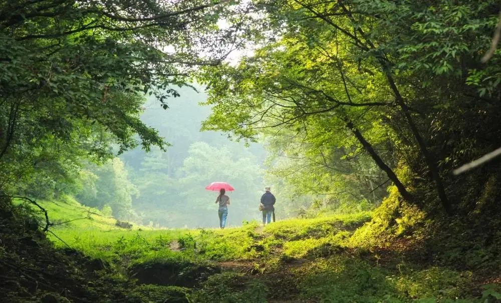 安逸四川 清凉广元 | 看！这是属于广元的夏天