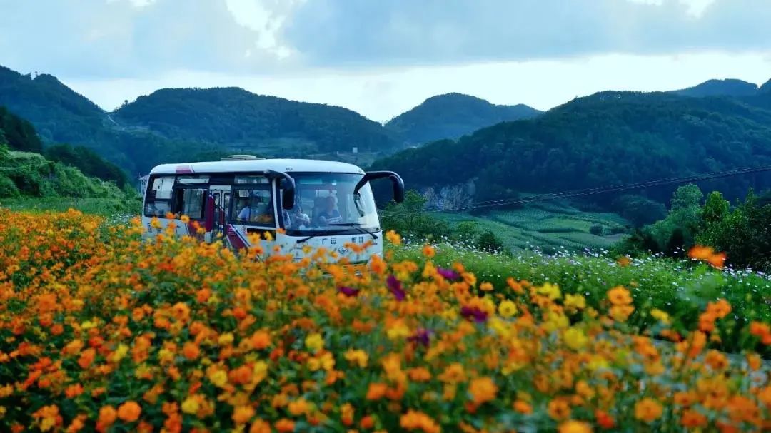 高考作文 | 全域旅游百花开 多彩广元迎客来