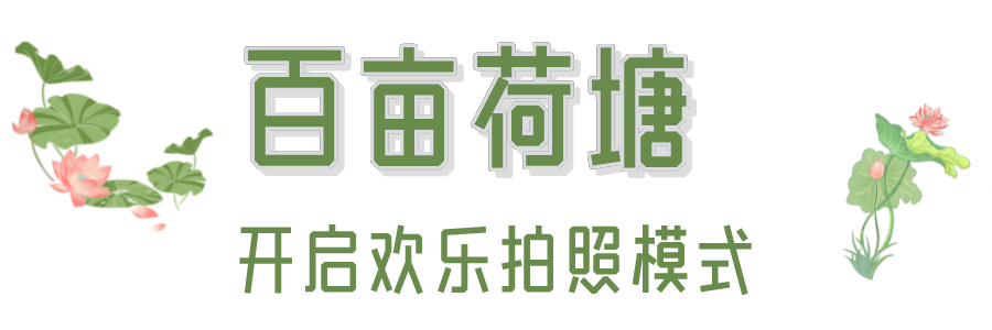 安逸四川 清凉广元 | 该换头像了！看，平乐旅游区的荷花开啦