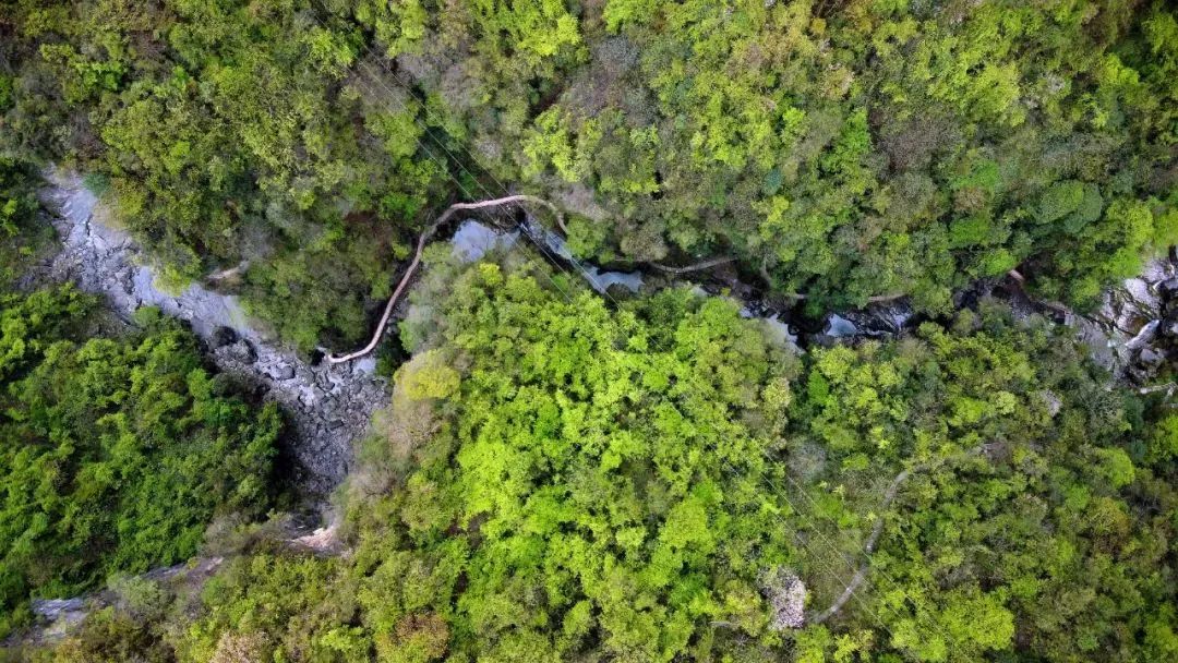 安逸四川 清凉广元 | 何以解热？旺苍这处大峡谷清凉避暑五颗星