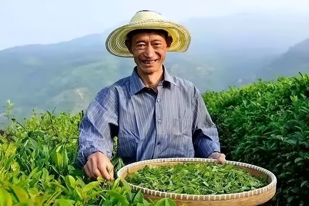 独特美味！广元这些非遗美食，你尝过几个？