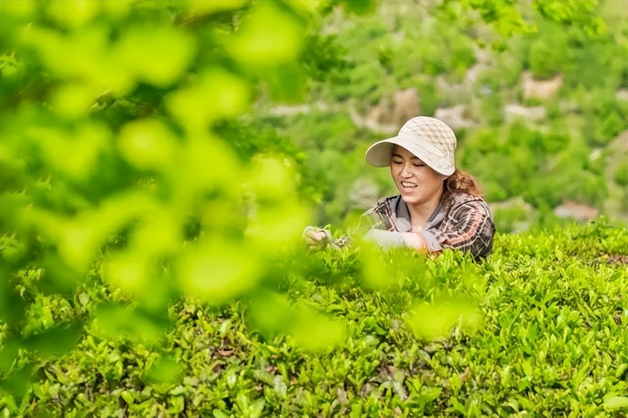 独特美味！广元这些非遗美食，你尝过几个？