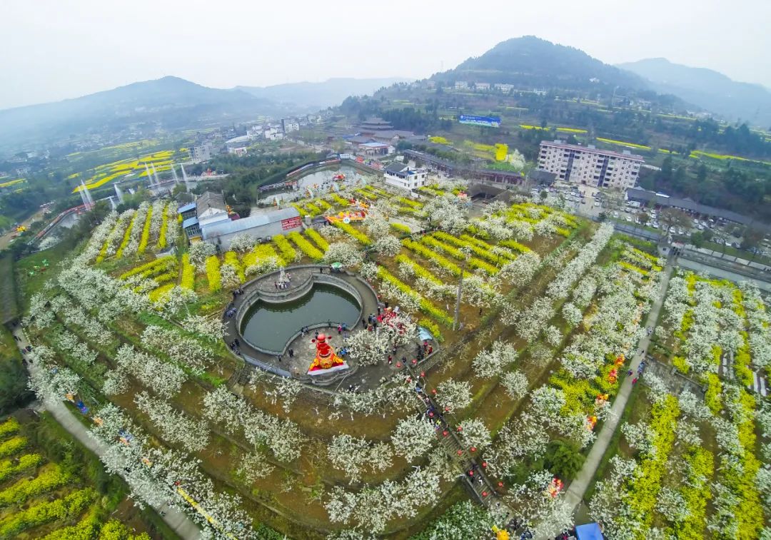 安逸四川 花开广元 | 春暖花开，广元邀您共赴一场春天的旅行盛宴