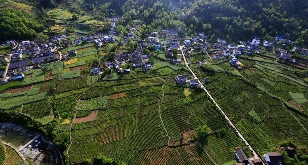 创建天府旅游名县青川进行时丨文旅兴县 擦亮“青秀之川”金字招牌