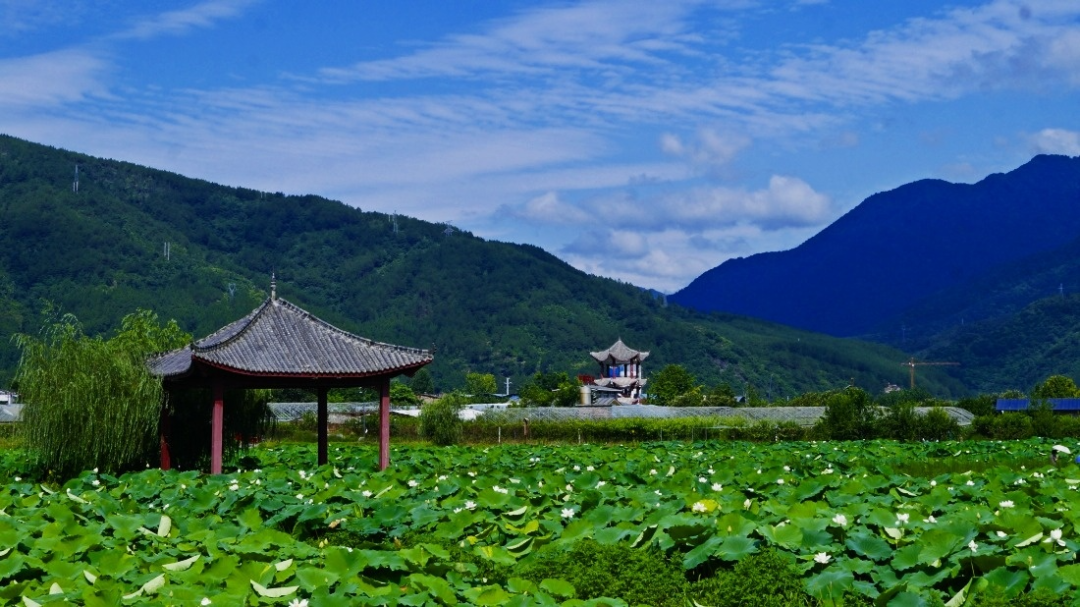 安逸四川 清凉广元 | 看！这是属于广元的夏天