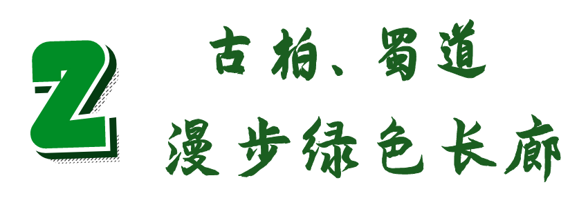 安逸四川 清凉广元 | 高温退！快来，广元有一个AAAAA级避暑胜地