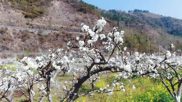 四川省民生研究会新媒体中心-官网