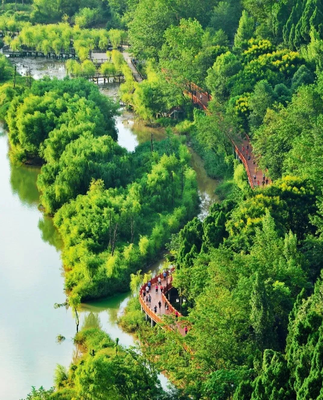 广元人家门口的南河湿地公园，已经私藏了整个春天