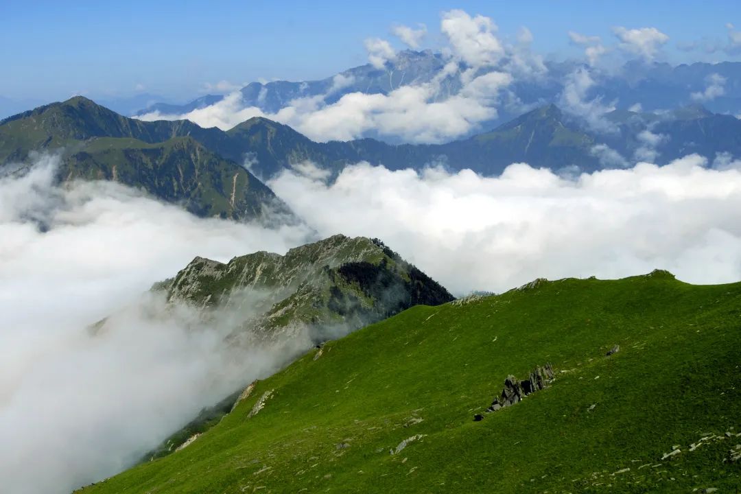 创建天府旅游名县青川进行时丨说走就走，送您青川夏日的盛景