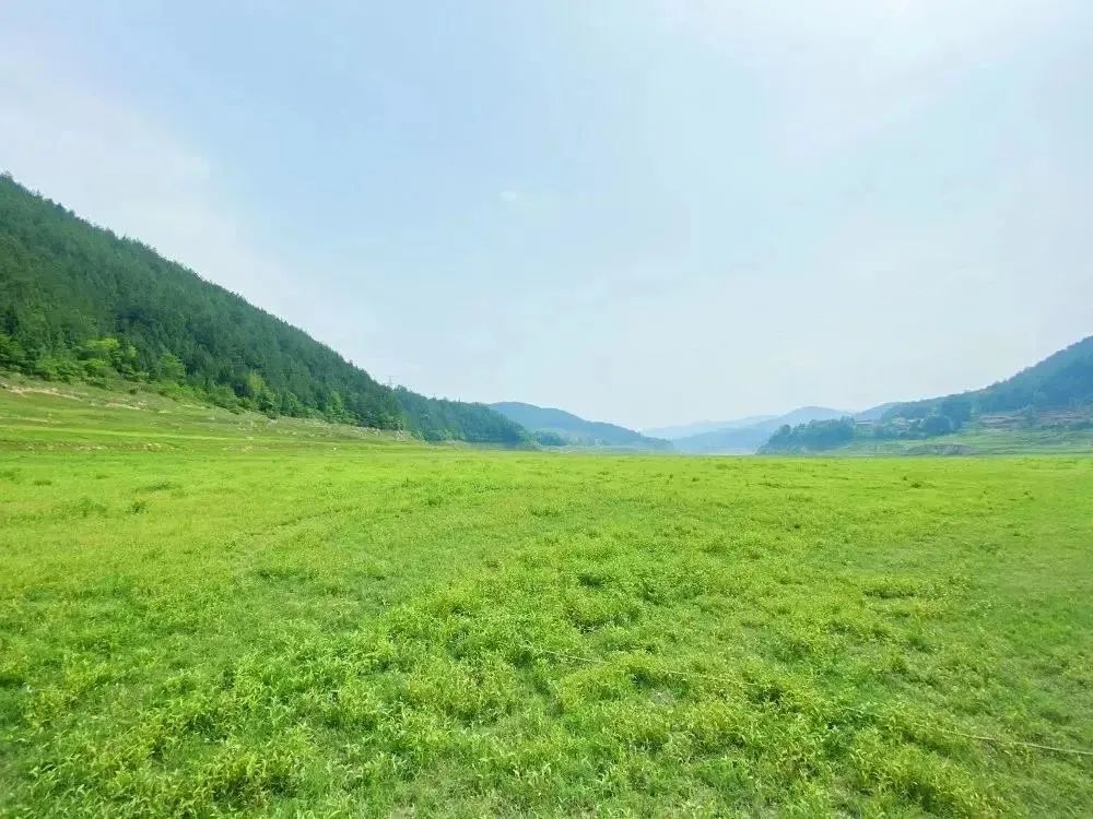 创建天府旅游名县青川进行时丨不去白龙湖幸福岛的夏天是不完整的