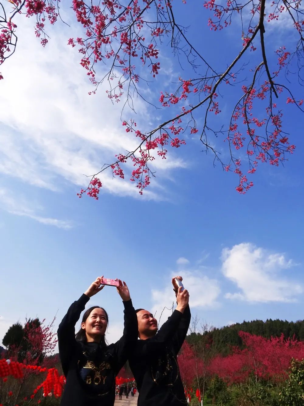 「创建天府旅游名县」女神节这份《昭化春天使用说明书》请收好