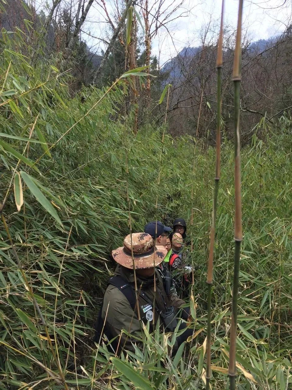 火爆来袭！唐家河自然教育中心夏季活动预约通道开启