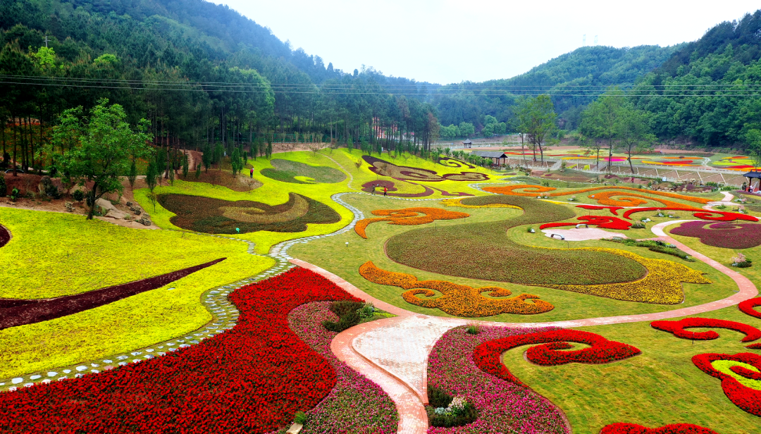 高考作文 | 全域旅游百花开 多彩广元迎客来