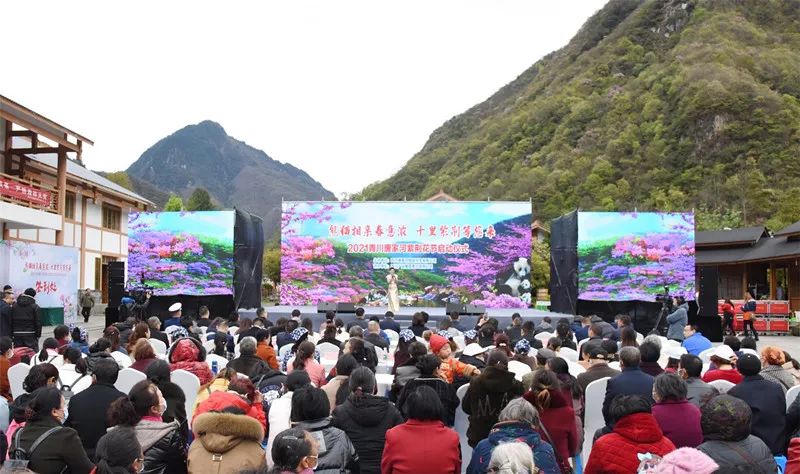 安逸四川 花开广元 | 春暖花开，广元邀您共赴一场春天的旅行盛宴