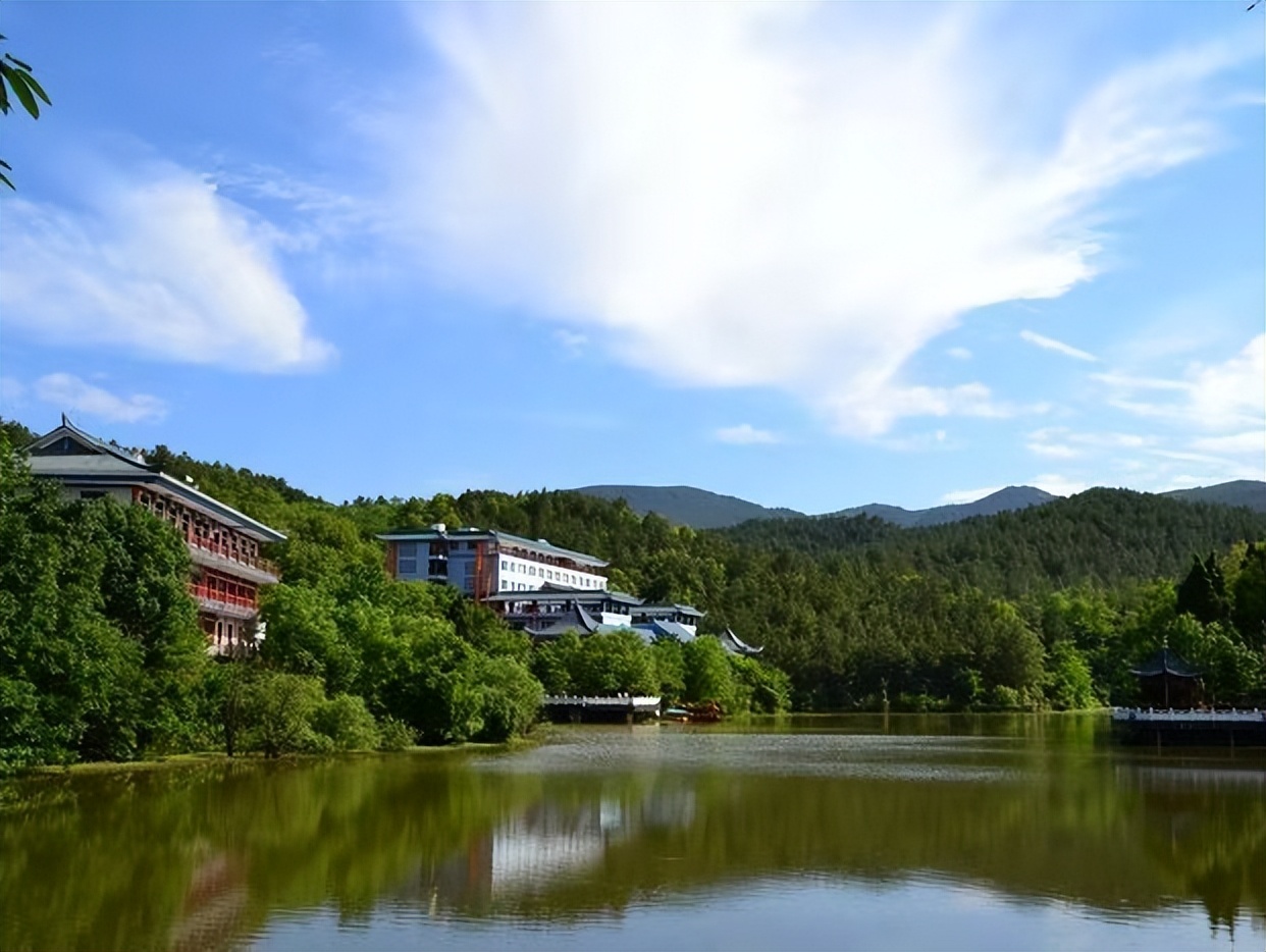 安逸四川 清凉广元 | 闯入苍溪清凉的森林仙境，现实版“绿野仙踪”