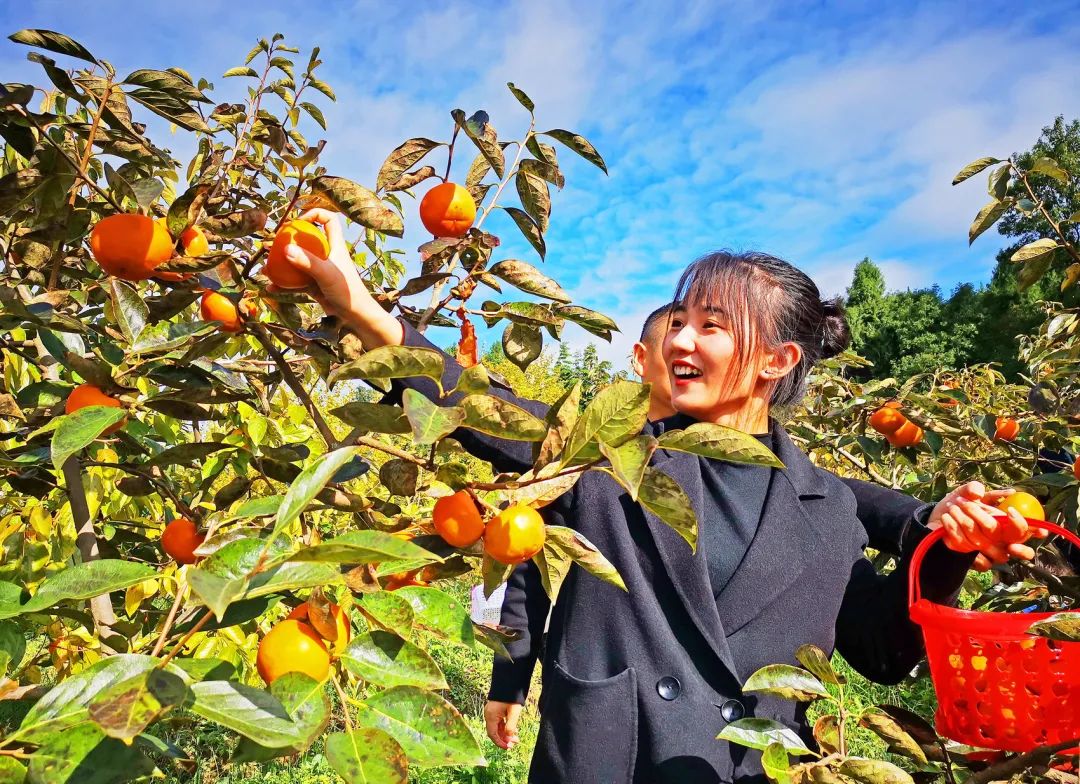 创名县 利州行④丨芳香南山“香”在何处？快跟我一起出发吧