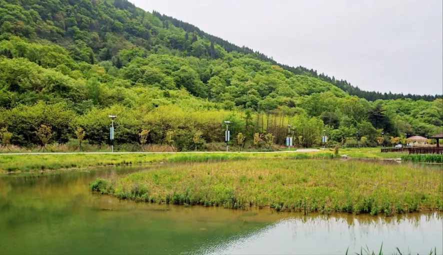 广元市利州区白朝乡月坝村，一个离月亮很近的地方