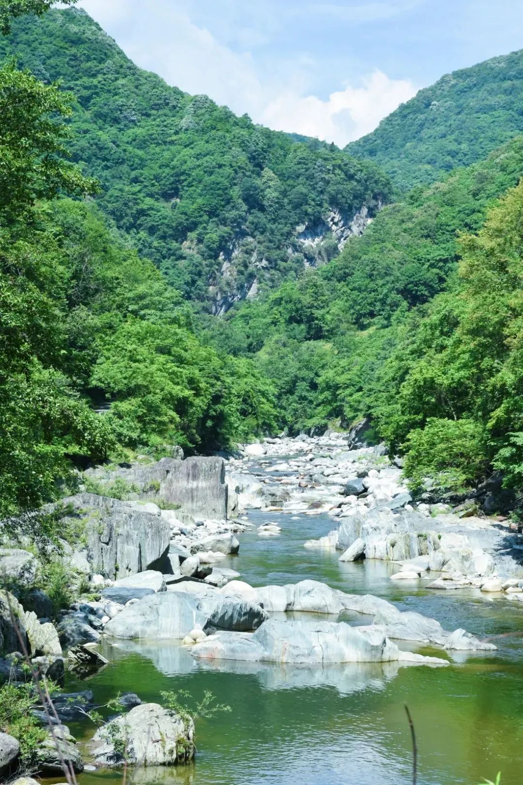 创建天府旅游名县青川进行时丨说走就走，送您青川夏日的盛景