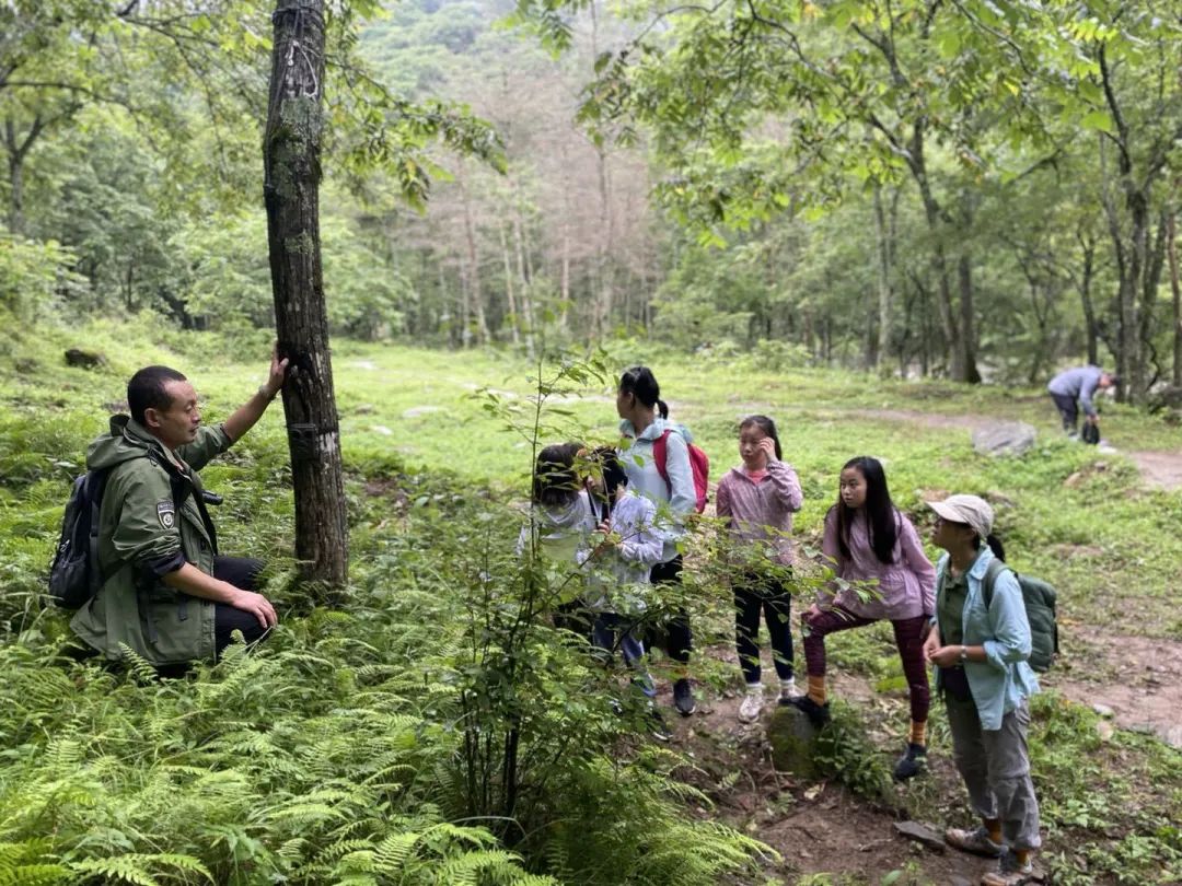 成渝双城经济圈┃广元文旅精品线路+消夏避暑产品强势吸睛