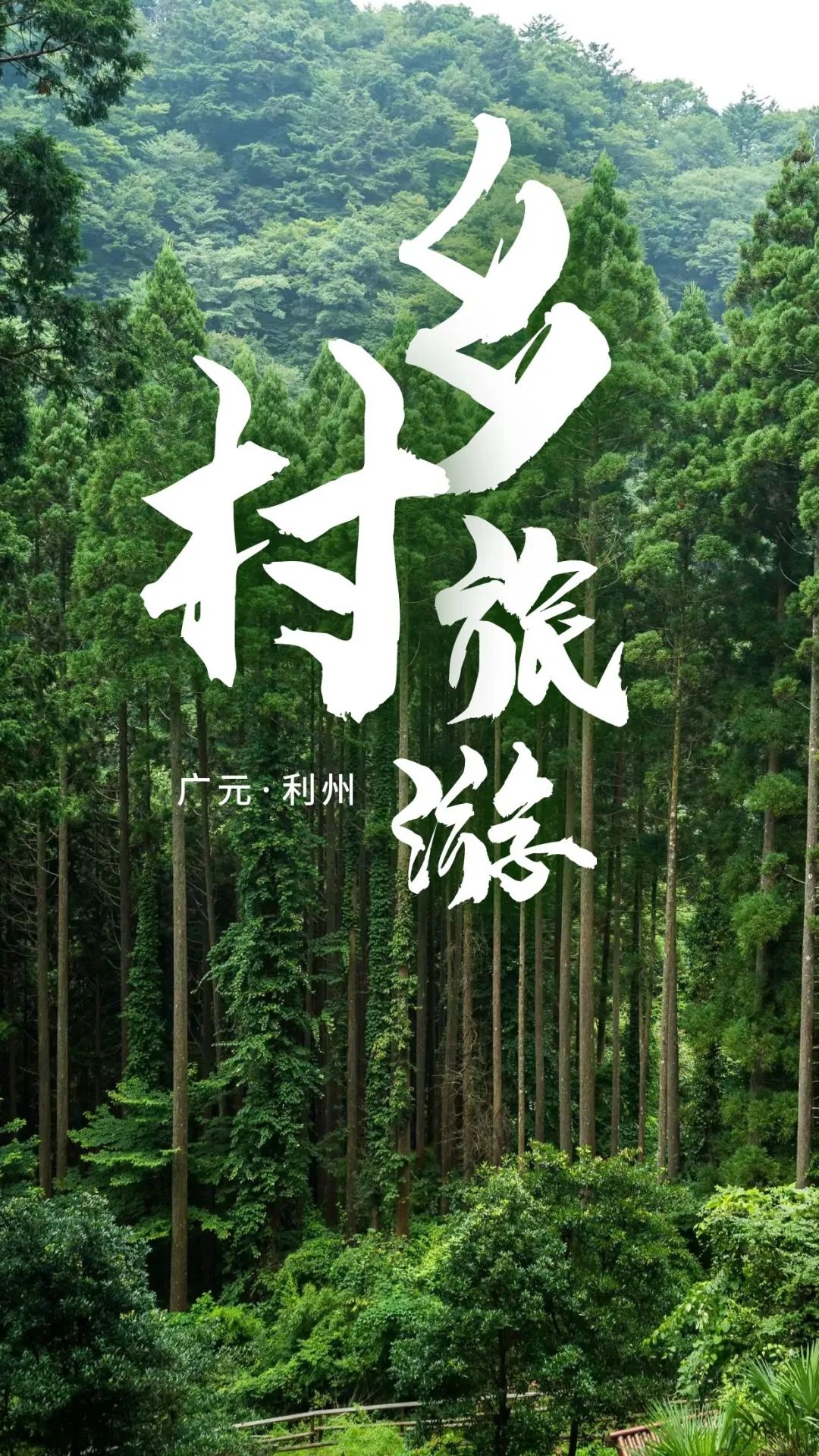 五一游广元 | 龙潭山上这些民宿和农家乐里，有你向往的乡村生活